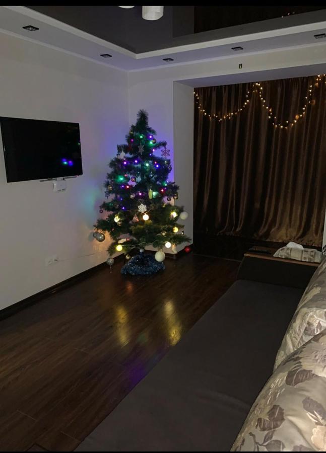 Elena'S Holiday Apartment Kamianets-Podilskyi Exterior photo